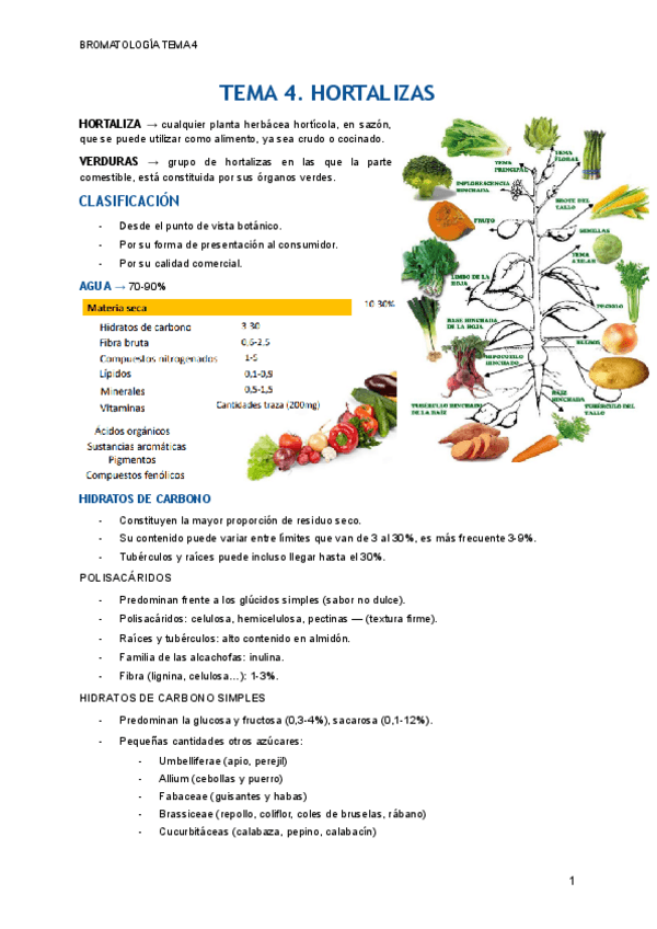 Miniatura del documento TEMA-4.pdf