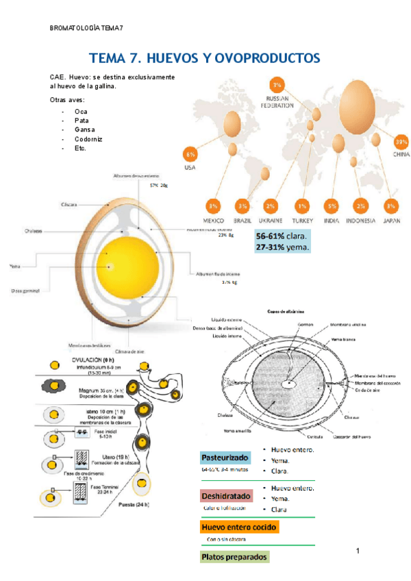 Miniatura del documento TEMA-7.pdf