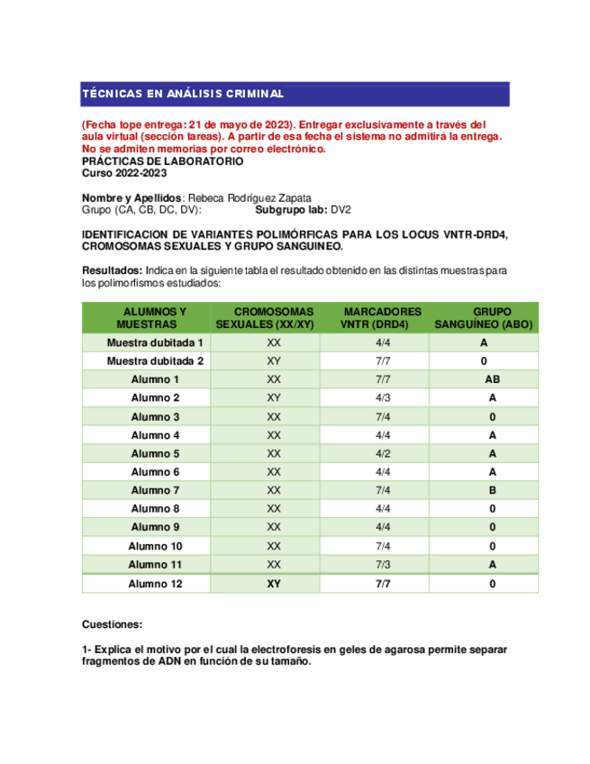 Miniatura del documento Memoria-Rebeca-Rodriguez.pdf