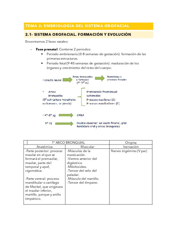 Miniatura del documento TEMA-2-TEFO.pdf