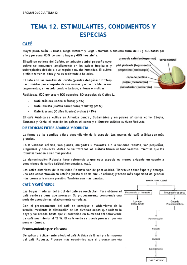 Miniatura del documento TEMA-12.pdf