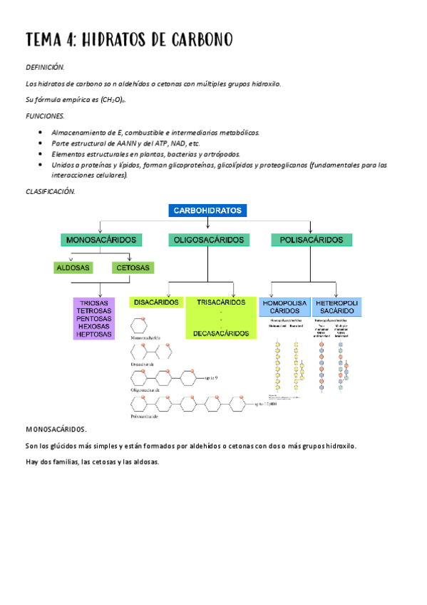 Miniatura del documento TEMA-4-HIDRATOS-DE-CARBONO.pdf