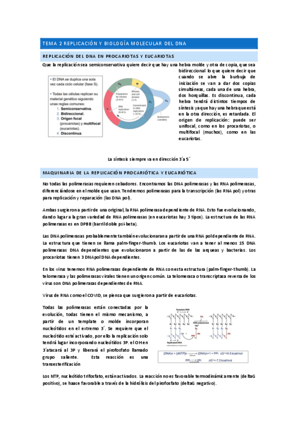 Miniatura del documento TEMA-2-REPLICACION-Y-BIOLOGIA-MOLECULAR-DEL-DNA.pdf