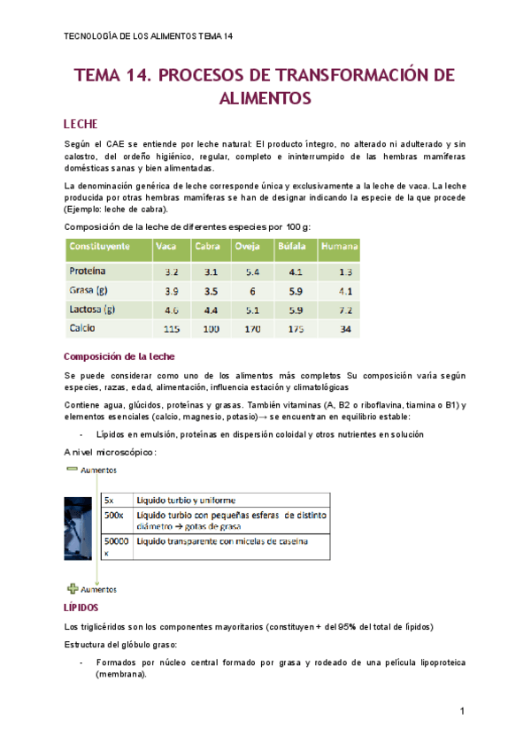 Miniatura del documento TEMA-14.pdf