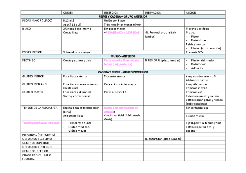 Miniatura del documento TABLA-RESUMEN-MUSCULOS-TOTAL.pdf
