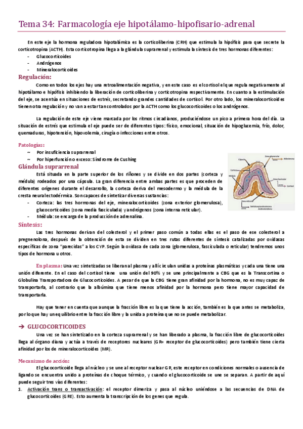 Miniatura del documento Tema 34.pdf