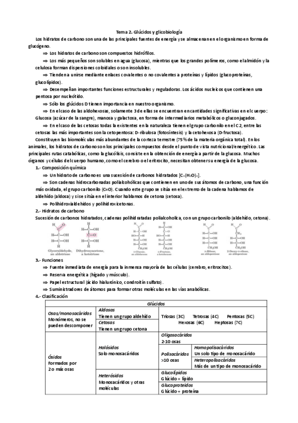 Miniatura del documento Tema-2.-Glucidos-y-glicobiologia.pdf