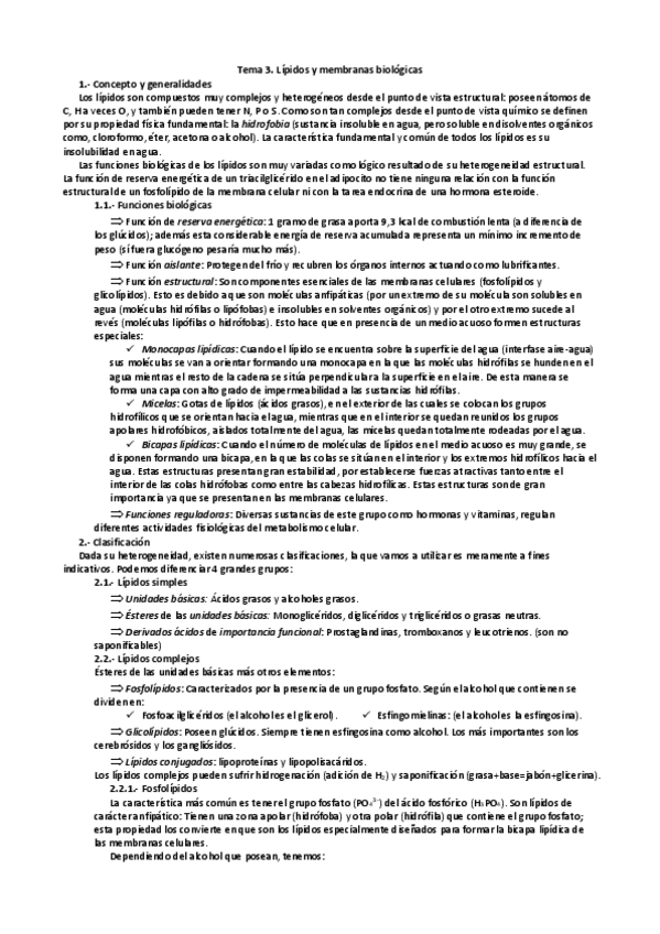 Miniatura del documento Tema-3.-Los-lipidos.pdf