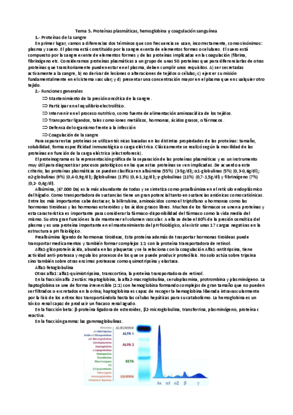 Miniatura del documento Tema-5.-Proteinas-plasmaticas-hemoglobina-y-coagulacion-sanguinea.pdf