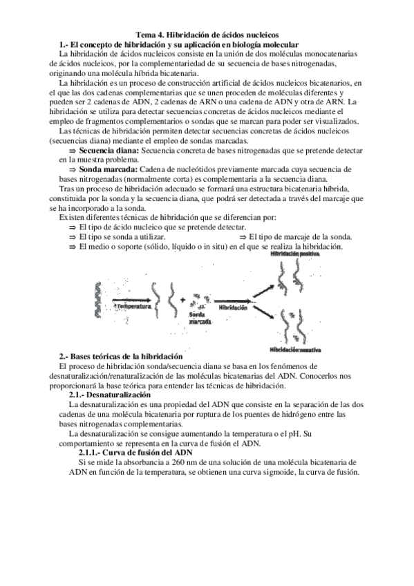 Miniatura del documento Tema-4.-Hibridacion-de-acidos-nucleicos.pdf