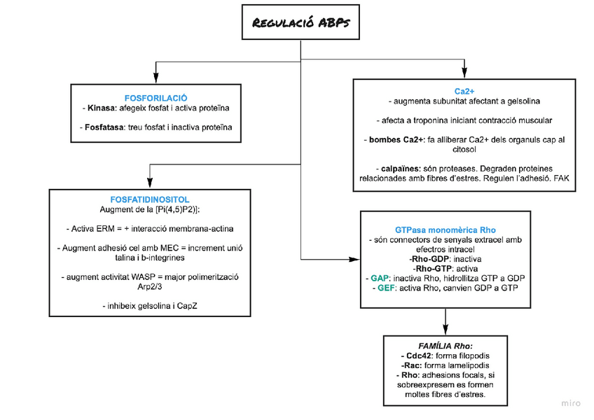 Miniatura del documento Regulacio-ABPs.pdf