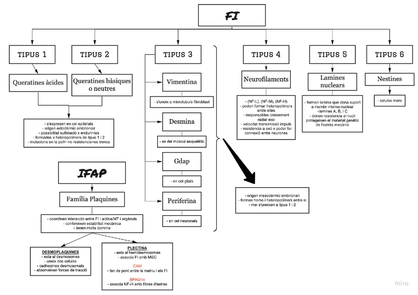 Miniatura del documento FI.pdf