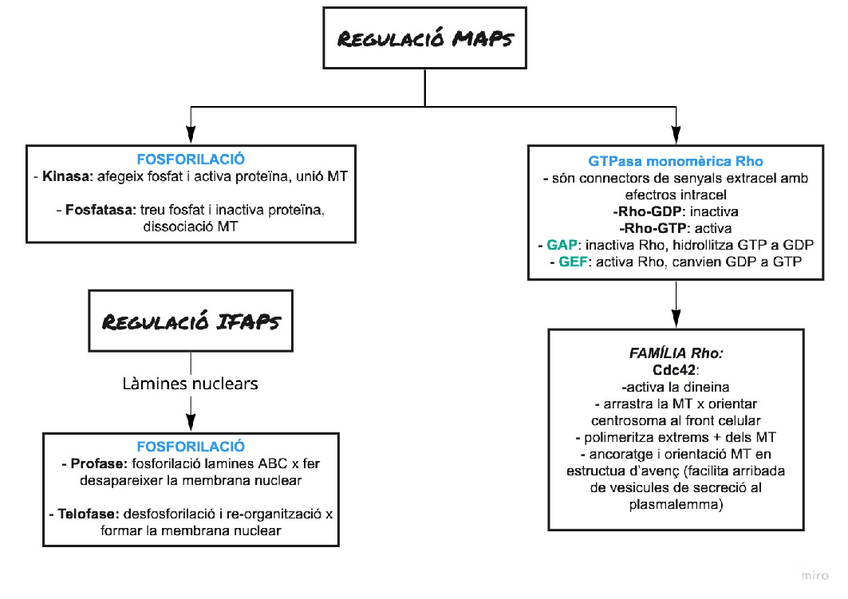 Miniatura del documento Regulacio-2.pdf