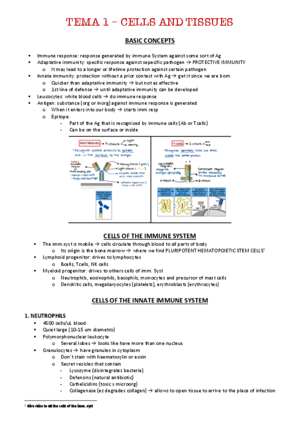 Miniatura del documento resum-final.pdf