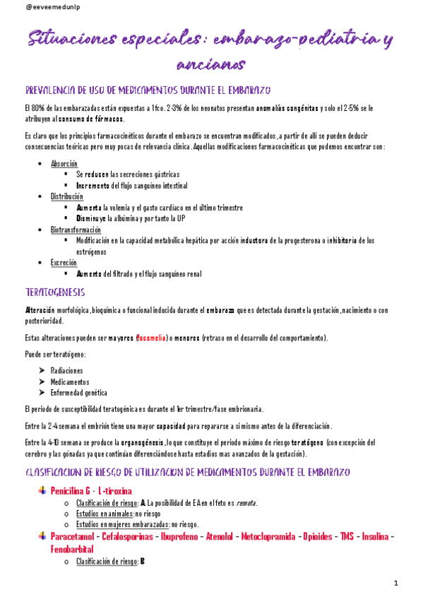 Miniatura del documento Situaciones-especiales-embarazopediatria-y-ancianos.pdf