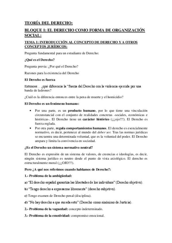 Miniatura del documento teoria-del-derecho-examen.pdf