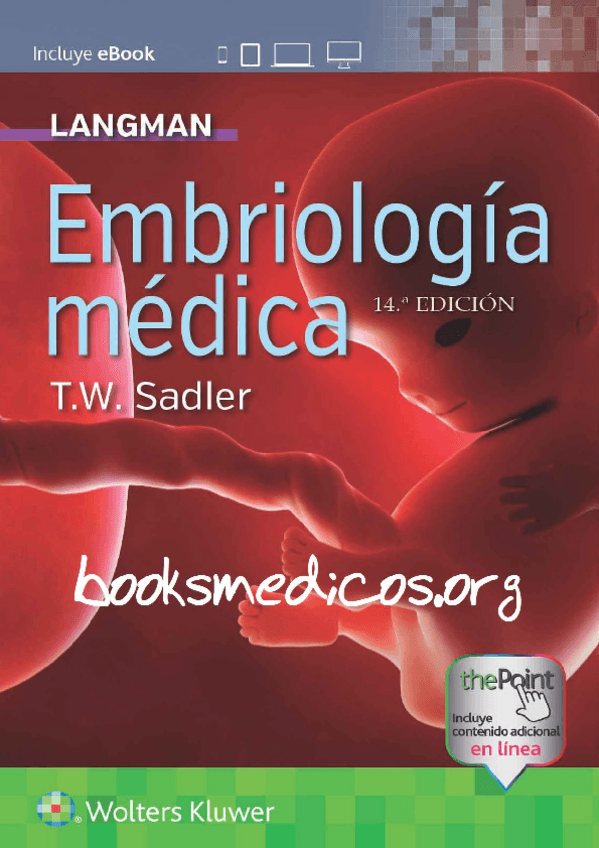 Miniatura del documento Langman-Embriologia-Medica-14e.pdf
