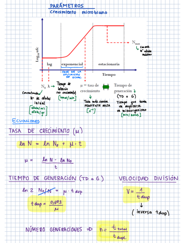 Miniatura del documento ecuaciones-crecimiento-microbiano.pdf