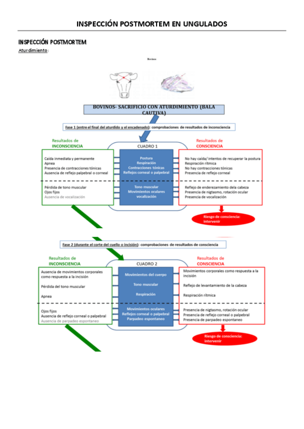 Miniatura del documento 2.4.1.pdf
