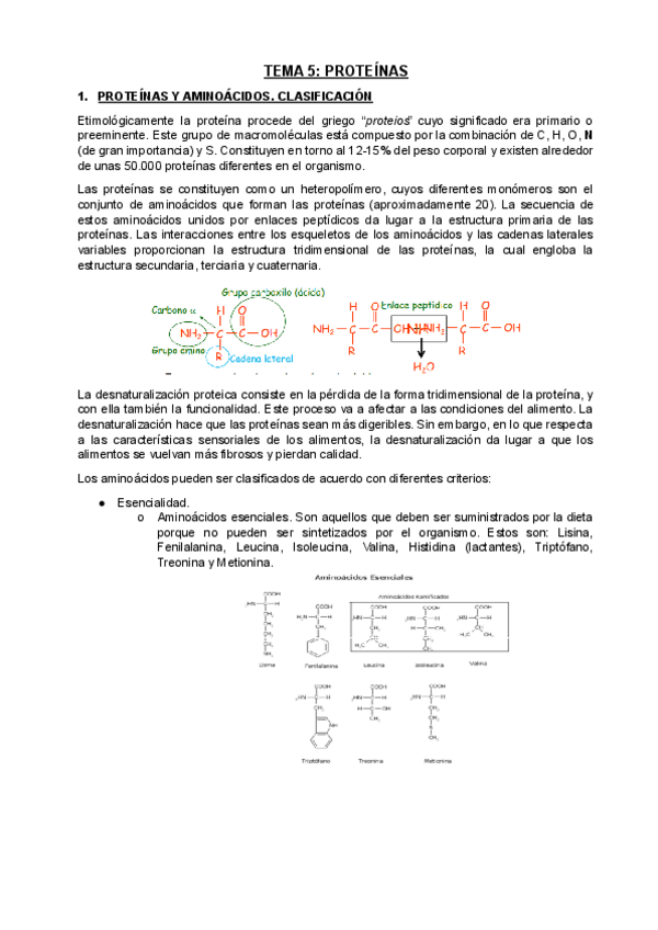 Miniatura del documento Tema-5Proteinas.docx.pdf