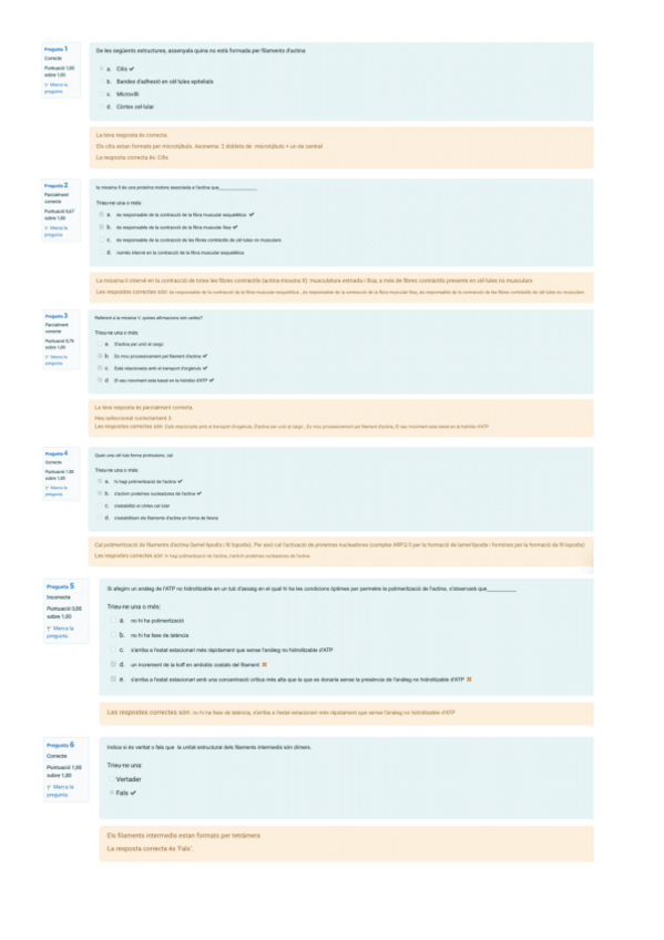 Miniatura del documento questionari-3.pdf