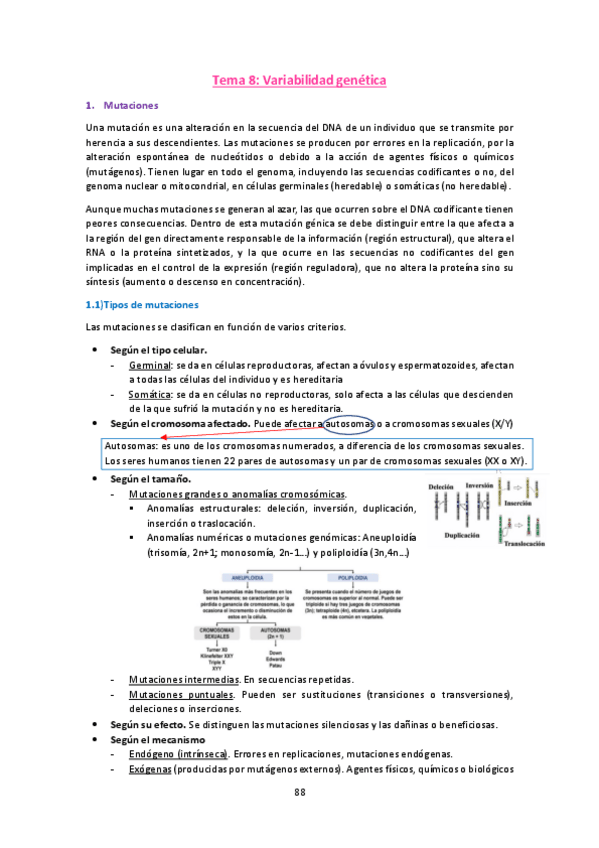 Miniatura del documento Tema-8.pdf