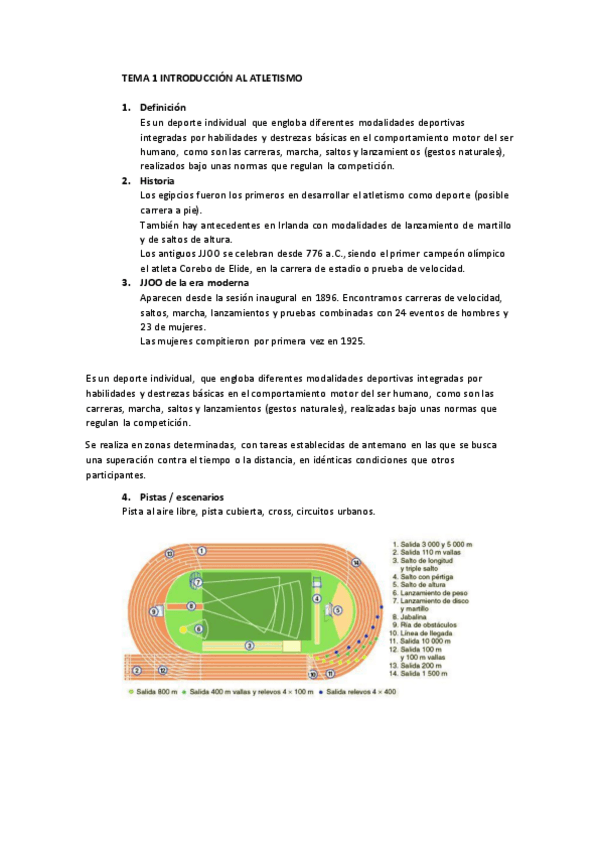 Miniatura del documento Resumen deportes individuales atletismo I.pdf