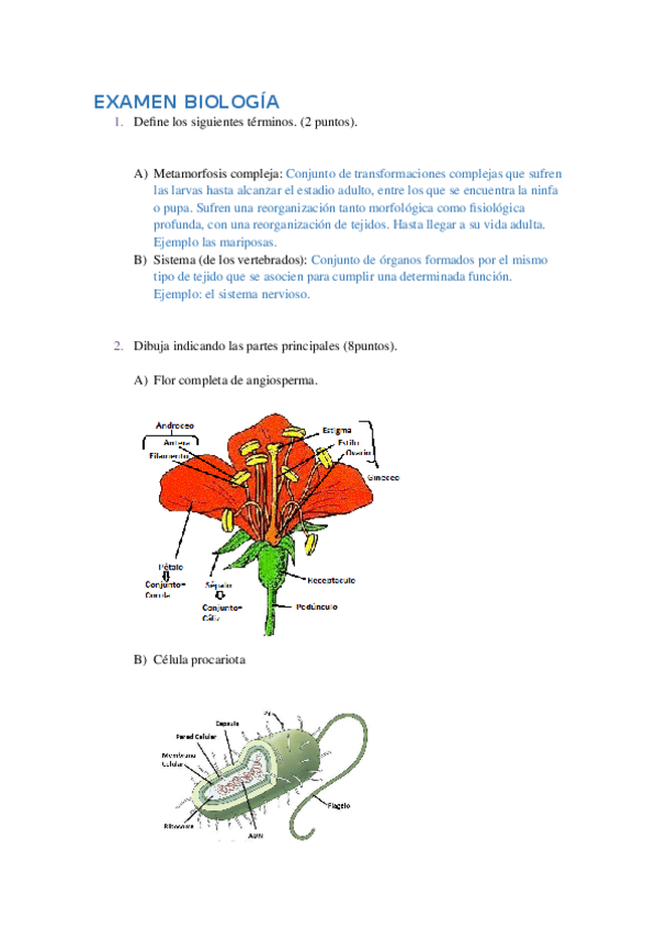 Miniatura del documento Examen biología.docx