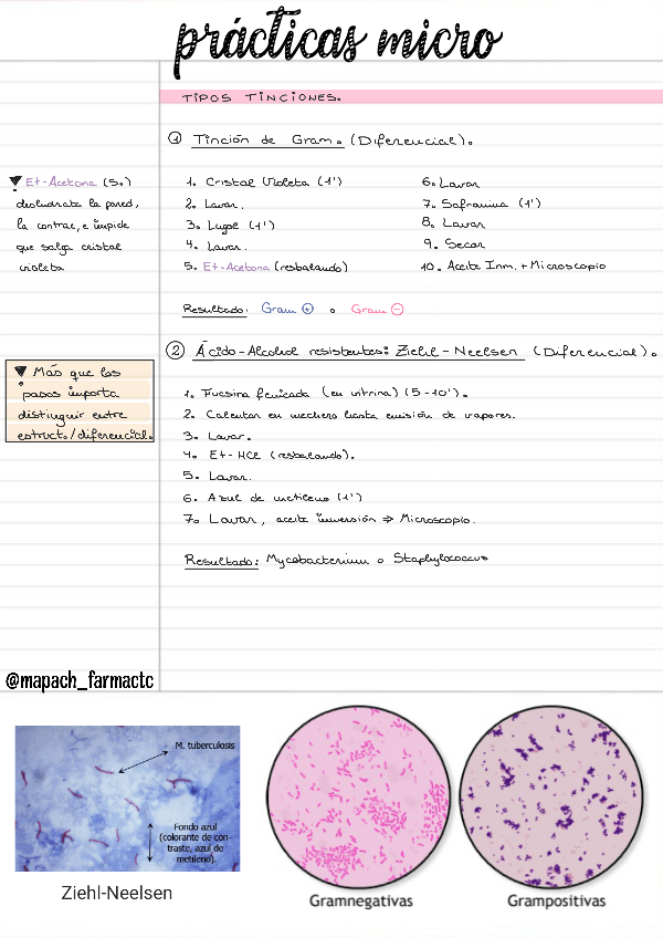 Miniatura del documento Practicas-Micro-con-preguntas-examen.pdf