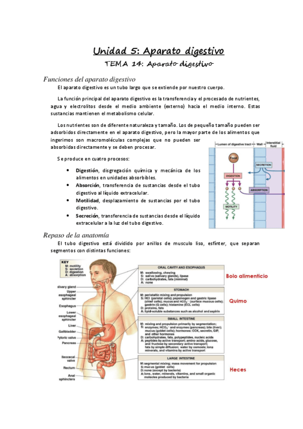Miniatura del documento Unidad-5.pdf