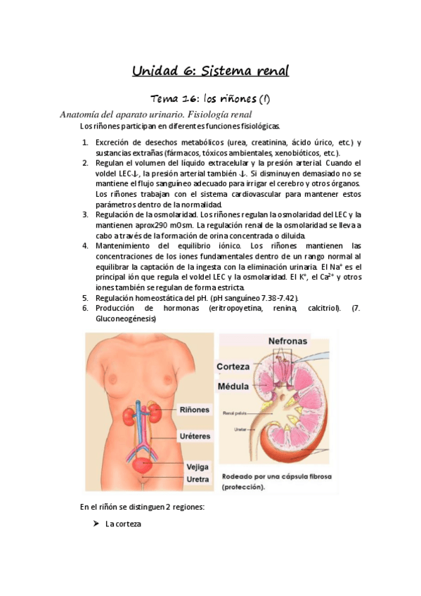 Miniatura del documento Unidad-6.pdf