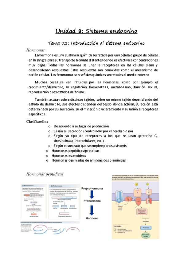 Miniatura del documento Unidad-8.pdf