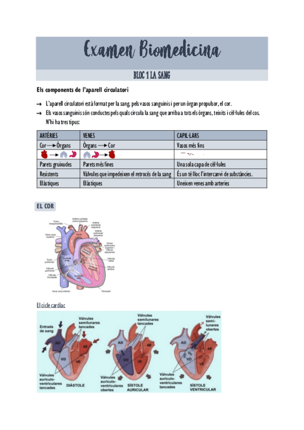 Miniatura del documento LA-SANGRE.pdf