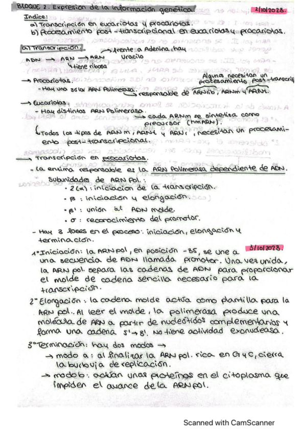 Miniatura del documento BLOQUE-II.pdf