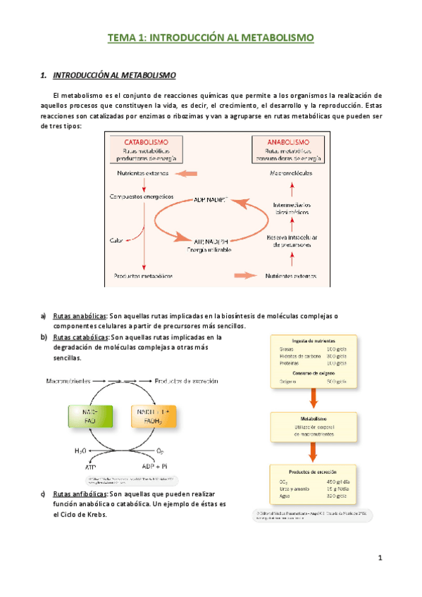 Miniatura del documento BQM COMPLETO.pdf