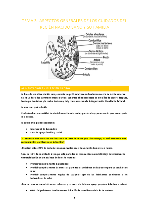 Miniatura del documento TEMA-3-infancia.pdf