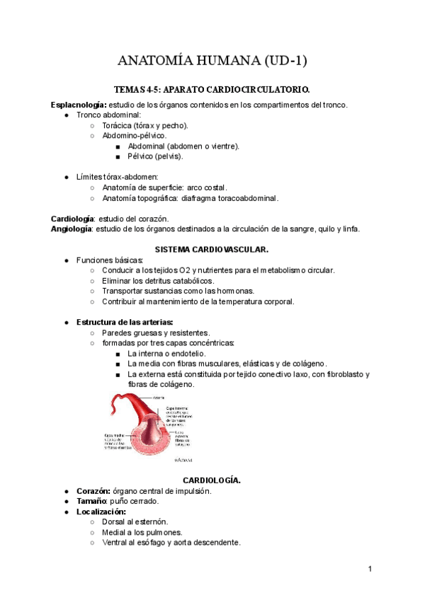 Miniatura del documento ANATOMIA-UD1.pdf