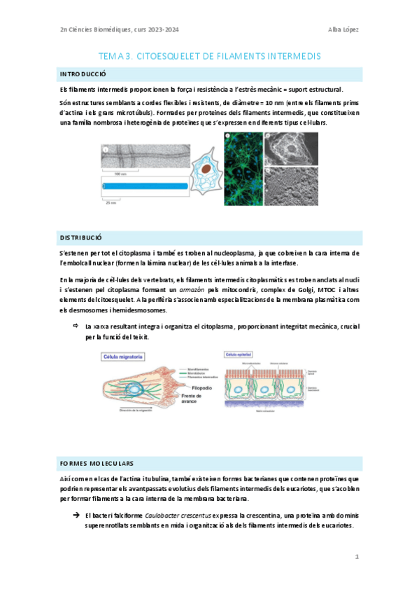 Miniatura del documento Tema-3.-Filaments-intermedis.pdf