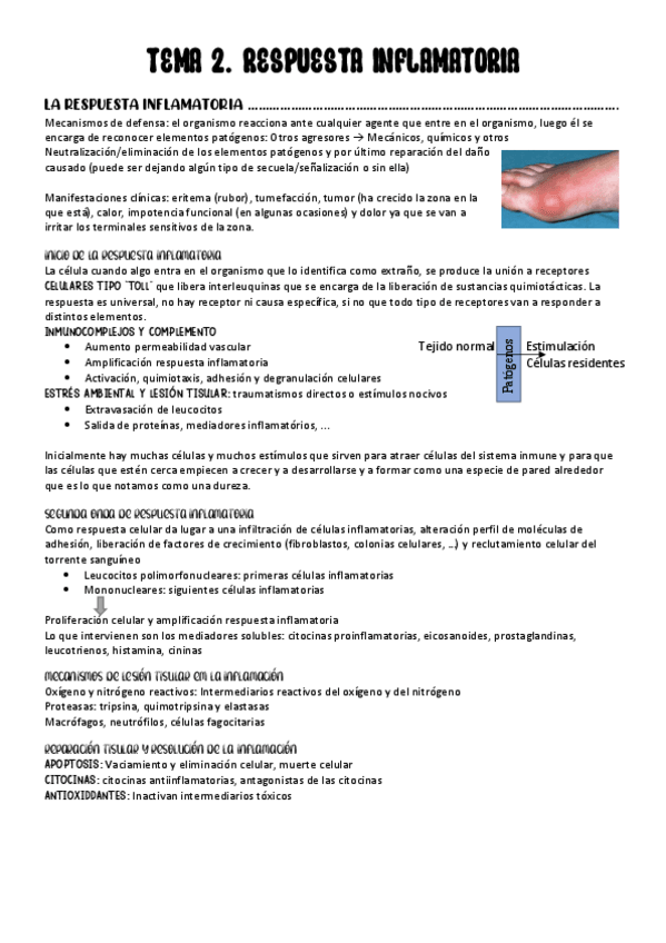 Miniatura del documento TEMA-2.-Respuesta-inflamatoria.pdf