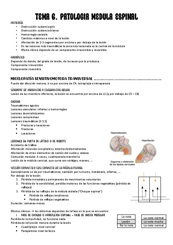 Miniatura del documento 6.-PATOLOGIA-MEDULA.pdf