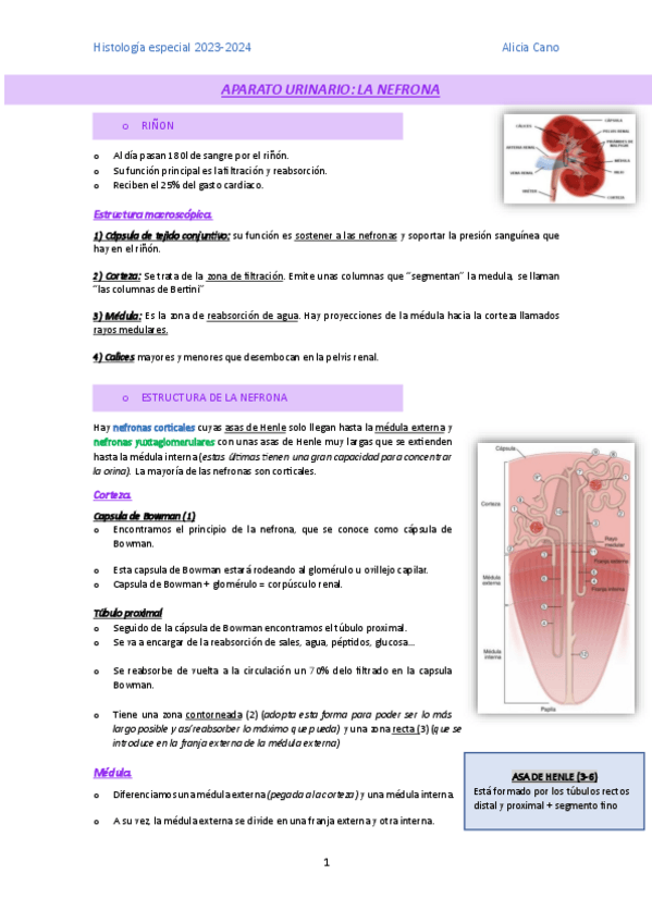 Miniatura del documento urinario.pdf