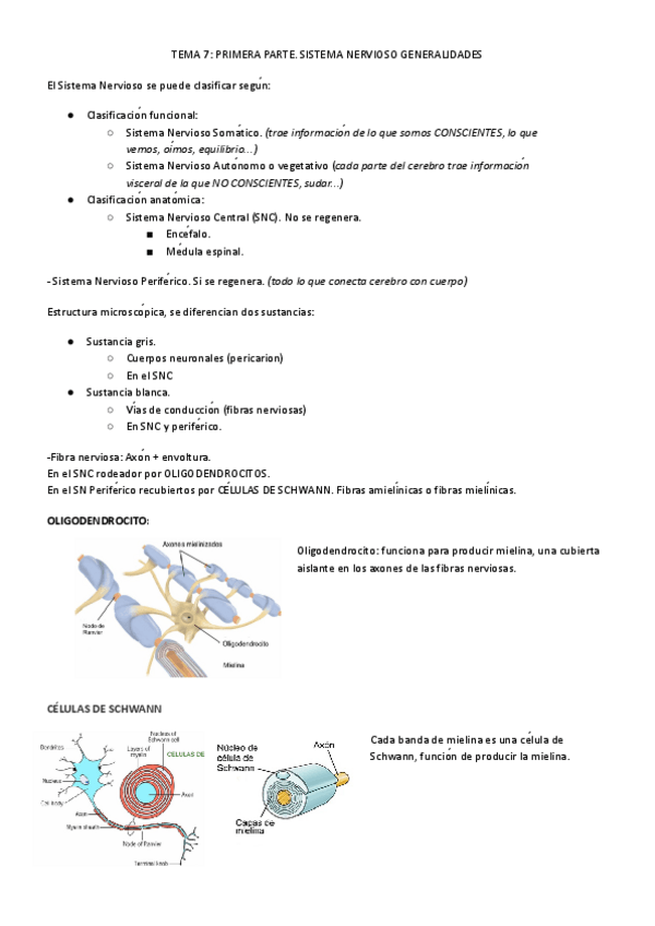 Miniatura del documento T7A-ANATO.pdf