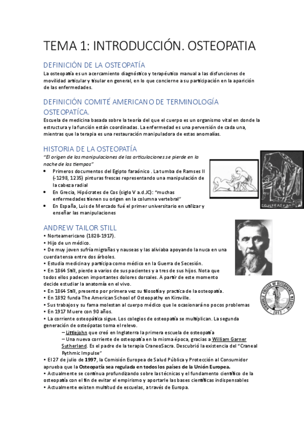 Miniatura del documento Introduccion.pdf