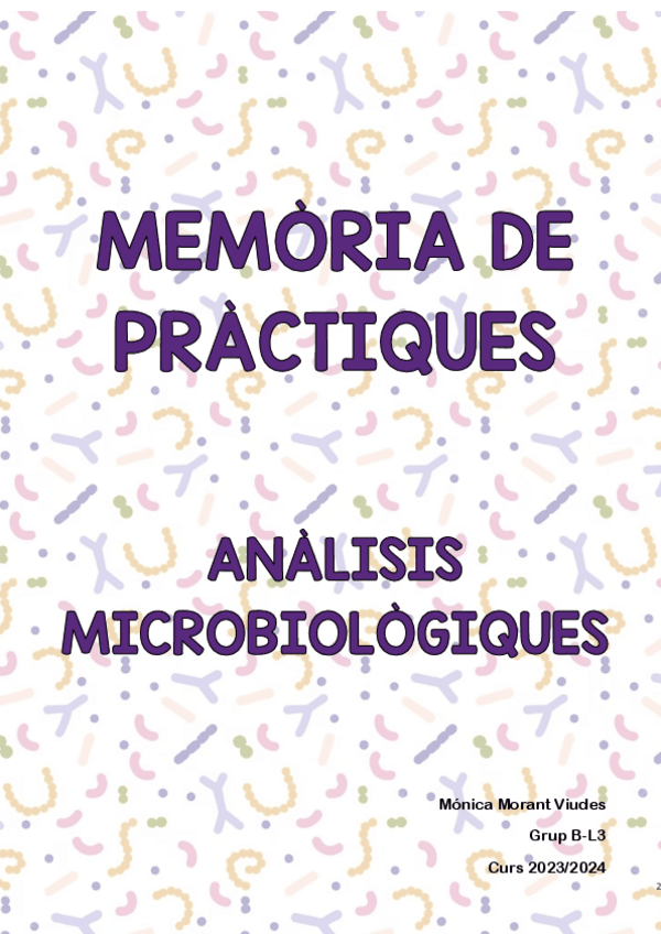 Miniatura del documento MEMORIA-PRACTIQUES-COMPLETA.pdf