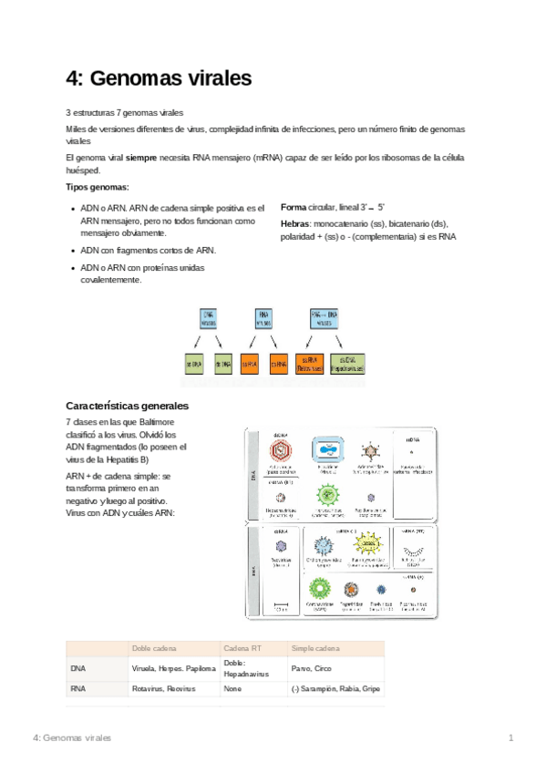 Miniatura del documento 4Genomasvirales.pdf