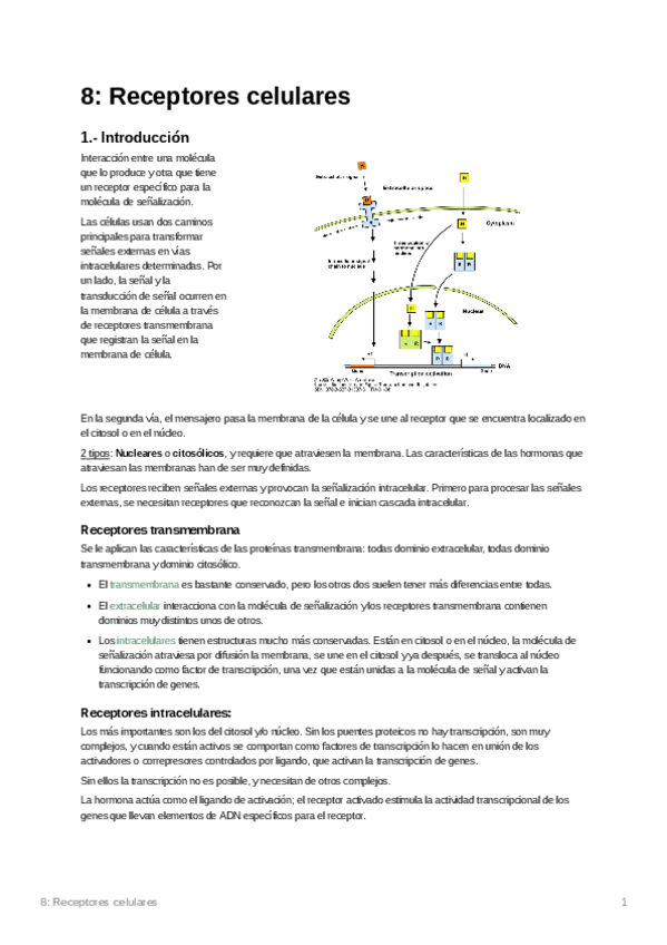 Miniatura del documento 8-Receptorescelulares.pdf