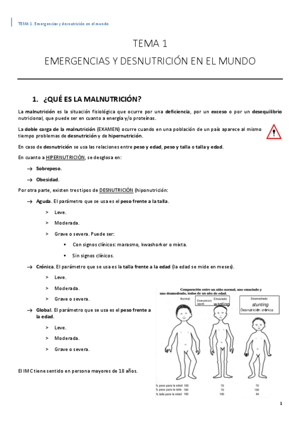 Miniatura del documento APUNTES-JUNTOS.pdf