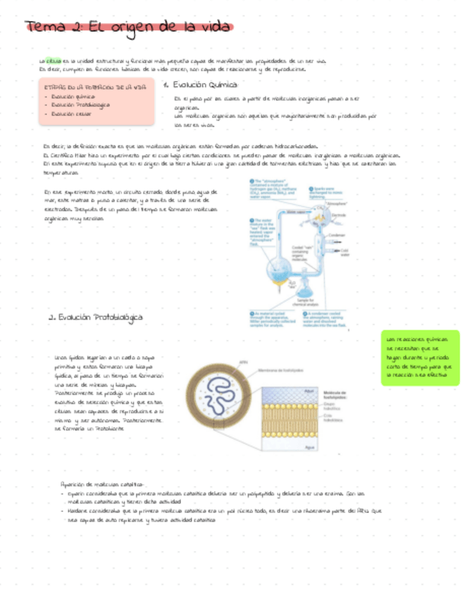 Miniatura del documento Biologia-celular-Tema-2.pdf
