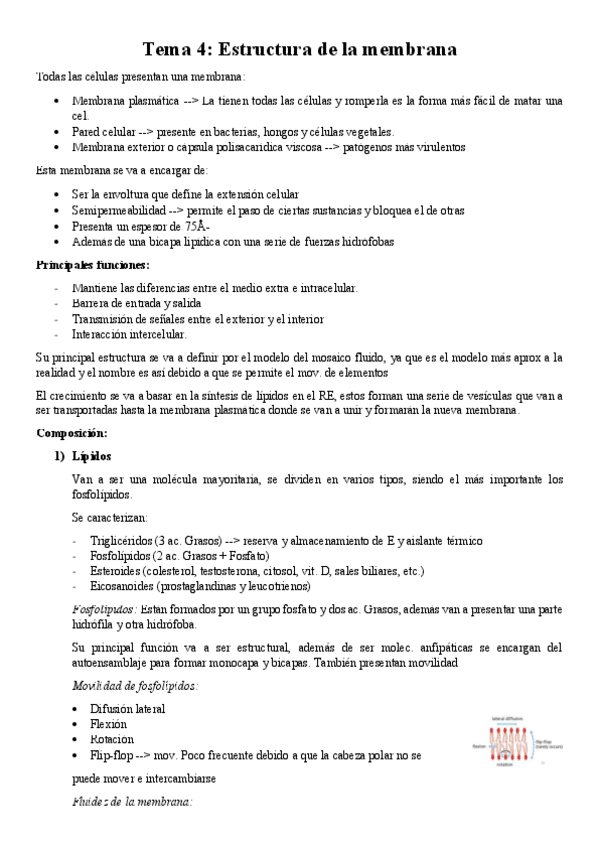 Miniatura del documento Tema-4-Biologia-celular.pdf