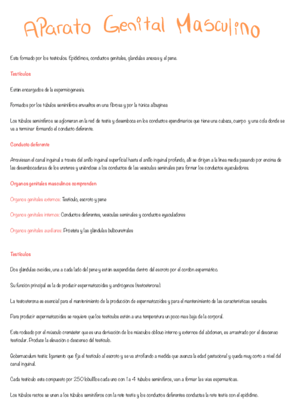 Miniatura del documento Aparato-Genital-Masculino.pdf